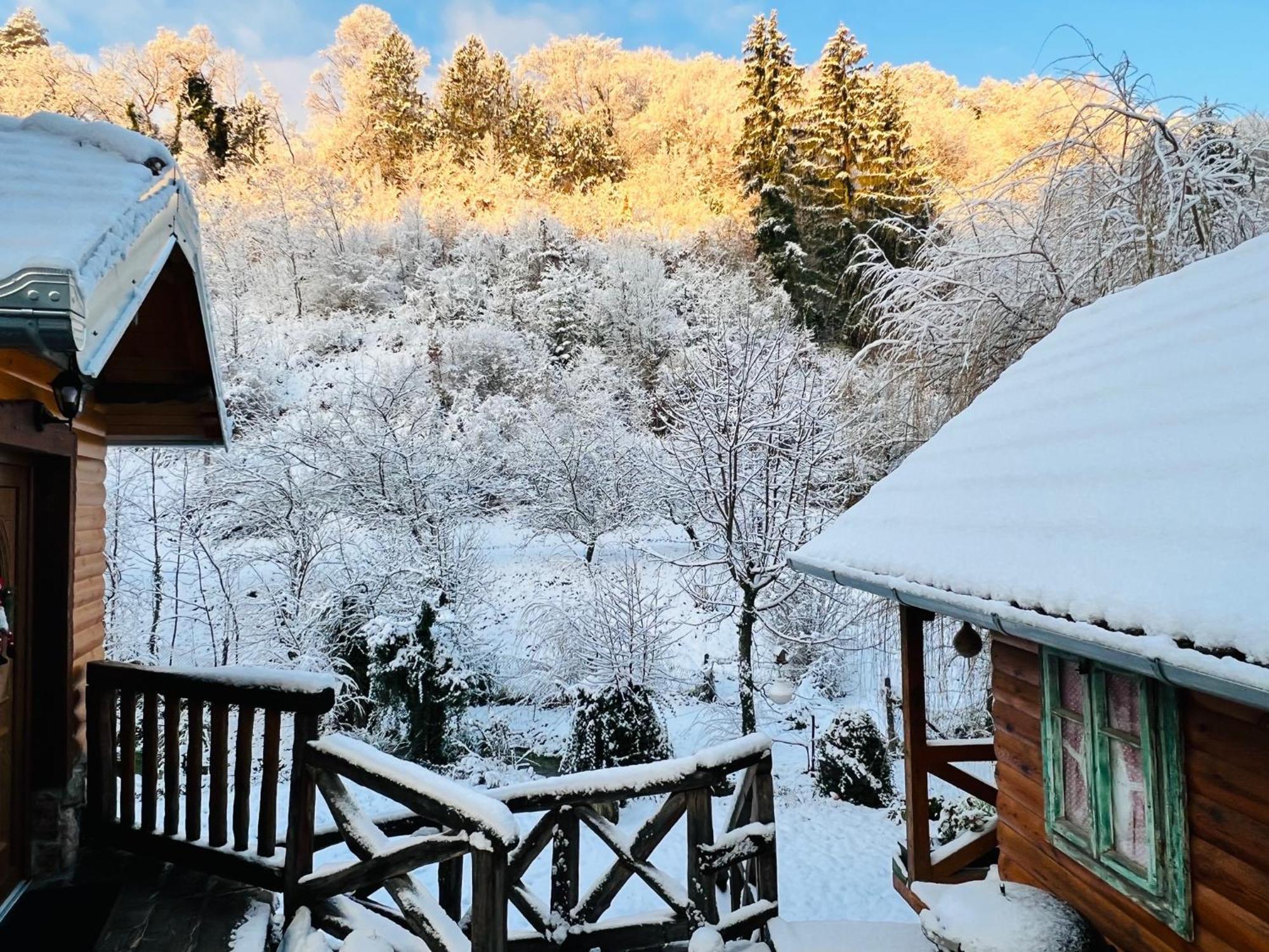 Villa Kuca Za Odmor Carolija Jastrebarsko Esterno foto